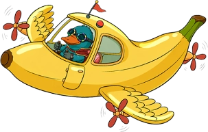 plane plane